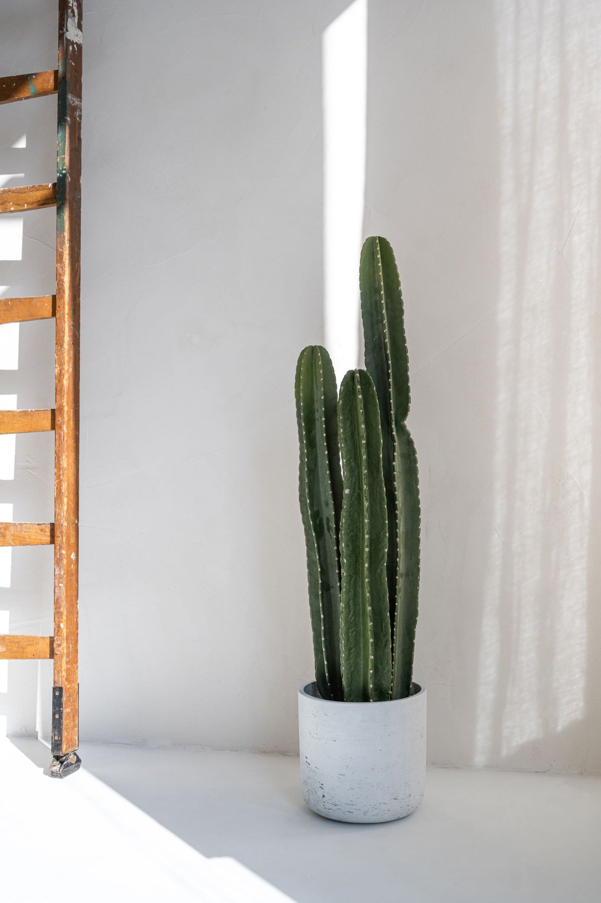 Kaktus San Pedro Künstlich - Künstliche Pflanzen