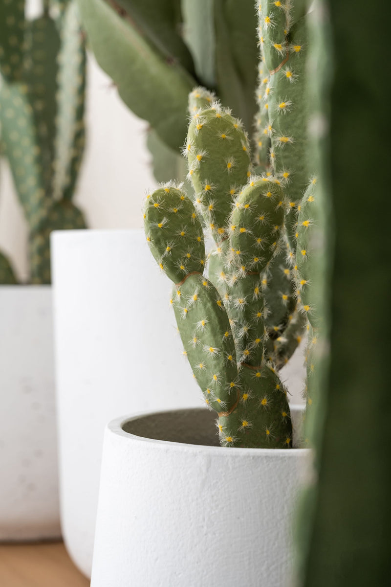 Kaktus Opuntia Künstlich - Künstliche Pflanzen