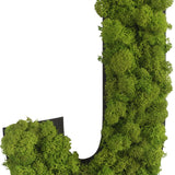 Islandmoos Piktogramm Buchstabe
