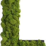 Islandmoos Piktogramm Buchstabe