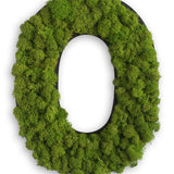 Islandmoos Piktogramm Buchstabe