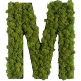 Islandmoos Piktogramm Buchstabe