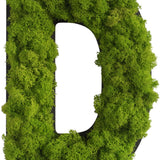 Islandmoos Piktogramm Buchstabe