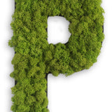 Islandmoos Piktogramm Buchstabe