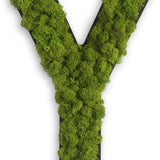 Islandmoos Piktogramm Buchstabe
