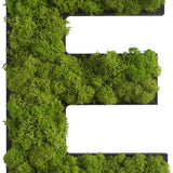 Islandmoos Piktogramm Buchstabe