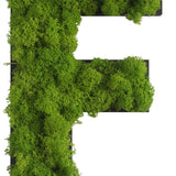 Islandmoos Piktogramm Buchstabe