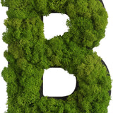 Islandmoos Piktogramm Buchstabe
