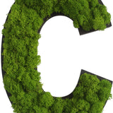 Islandmoos Piktogramm Buchstabe