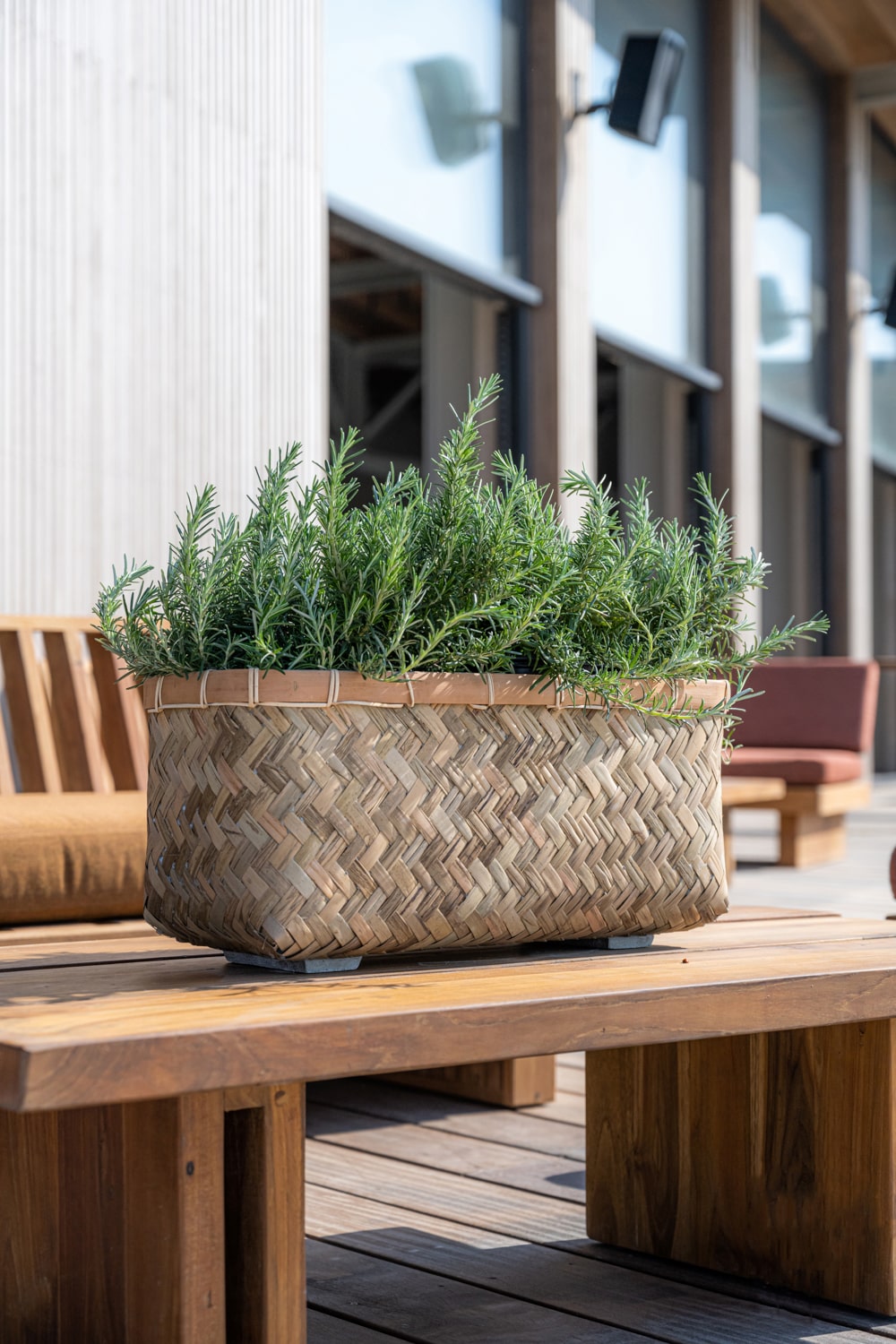 Pflanzgefe aus Bambus  Natrlich & stilvoll | Finestgreen