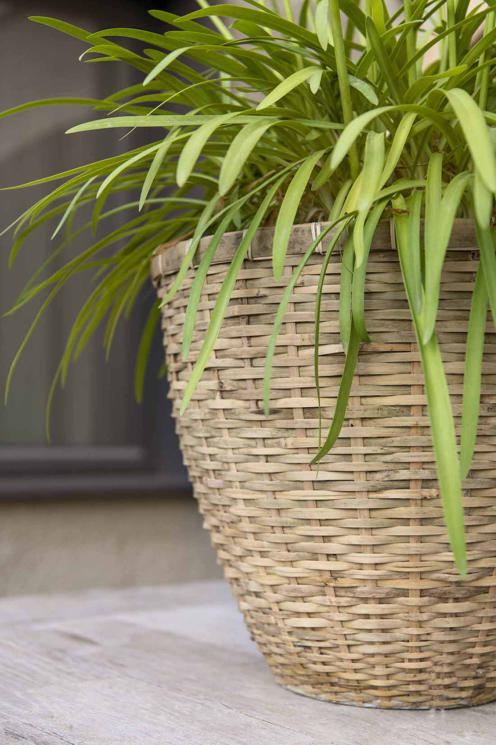 Gewebte Pflanzkörbe Im Boho-Style (2er-Set) – Natürliche Aufbewahrungskörbe Für Zimmerpflanzen & Deko