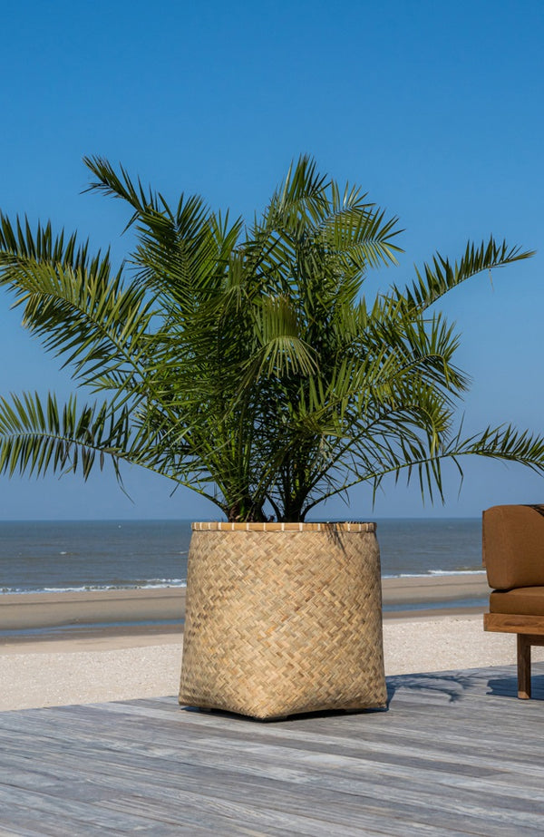 Pflanzgefäße aus Bambus