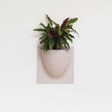 VertiPlants Wandgefäß aus pflanzlichen Materialien