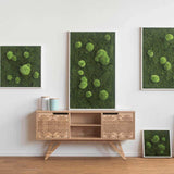 Moosbild Wald- und Ballenmoos 55x55 cm