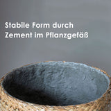 Bohemian Zayn handgewebter Pflanzkorb mit Zement verarbeitet