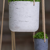 Hanging Charlie Grau Finestgreen 