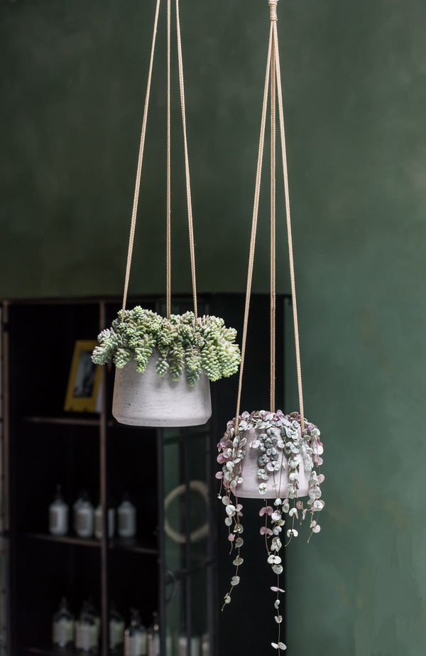 Blumenampel Patt Grau, 2er-Set aus glasfaserverstärktem Ton