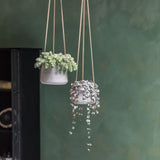 Hanging Patt Set Grau