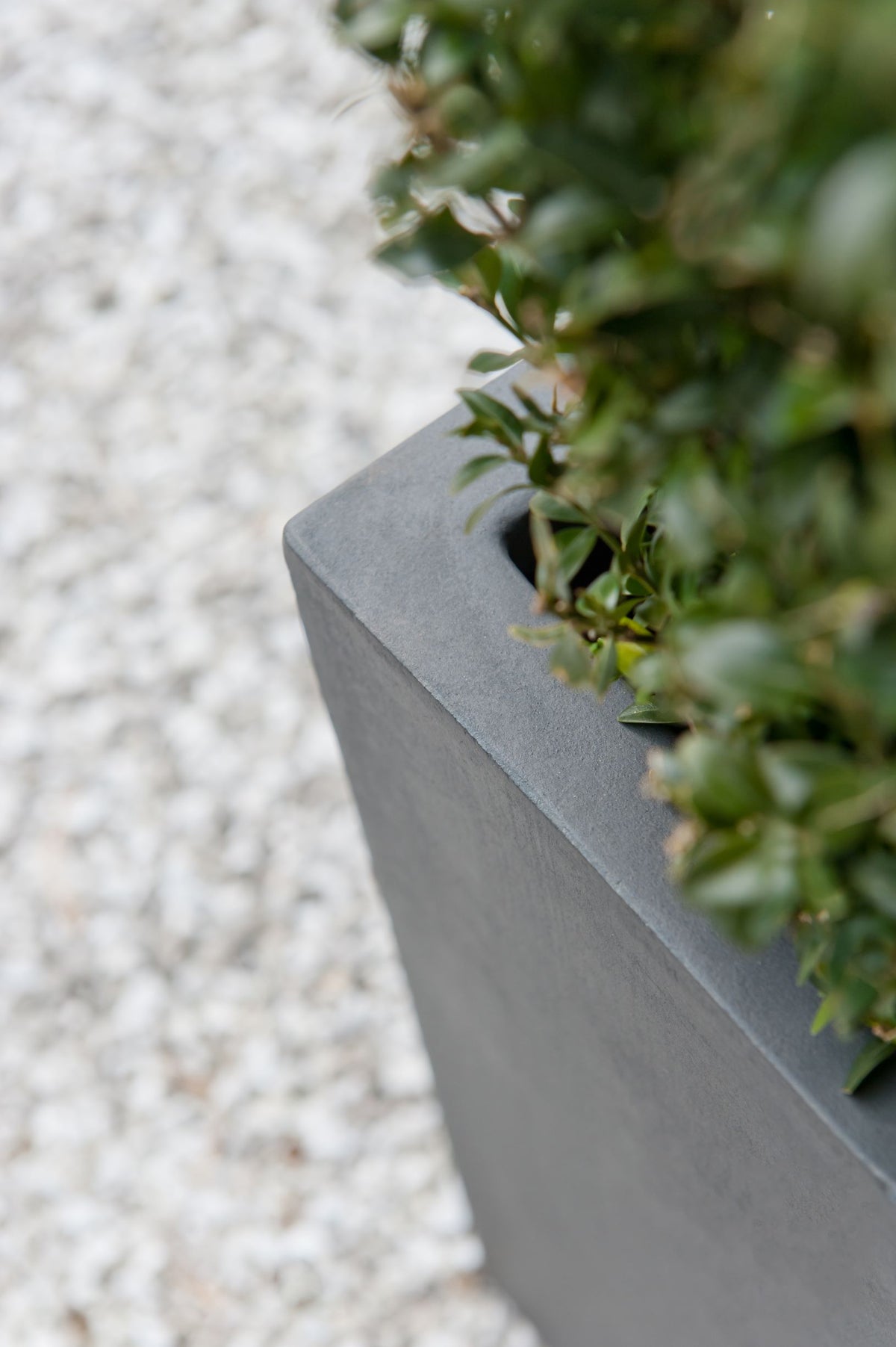Niedrige Pflanzgefe  Balkonkasten & flache Tpfe | finestgreen   Finestgreen