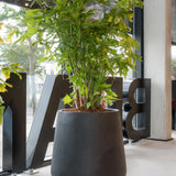 Pax Fiberstone Schwarz