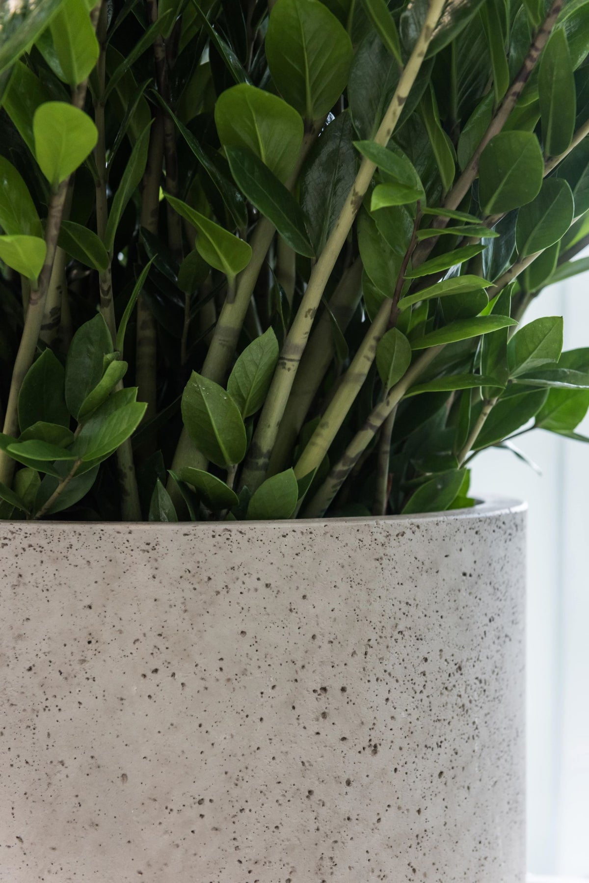 Pottery Pots Charlie bloempot grijs online bestellen Pottery Pots Charlie bloempot grijs online bestellen