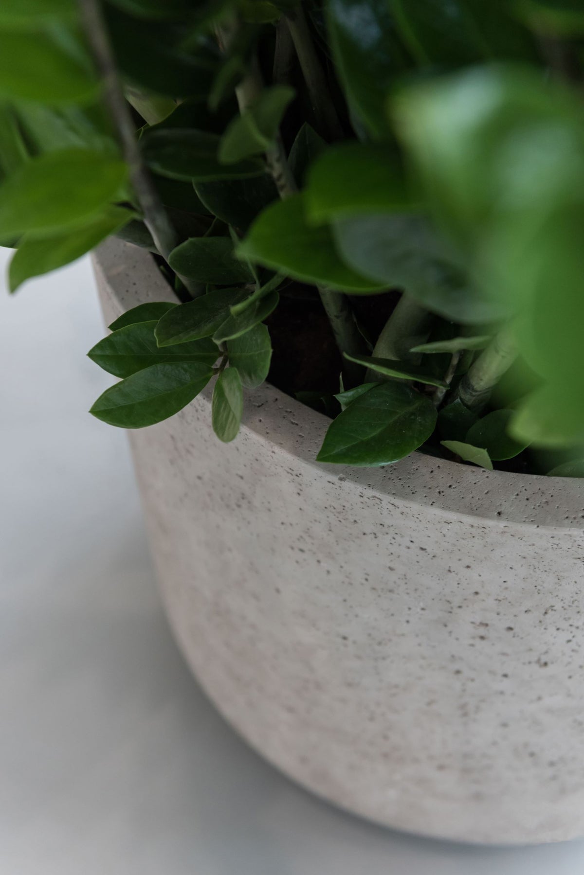 Jumbo Charlie Grey Washed - Urban Pottery Pots