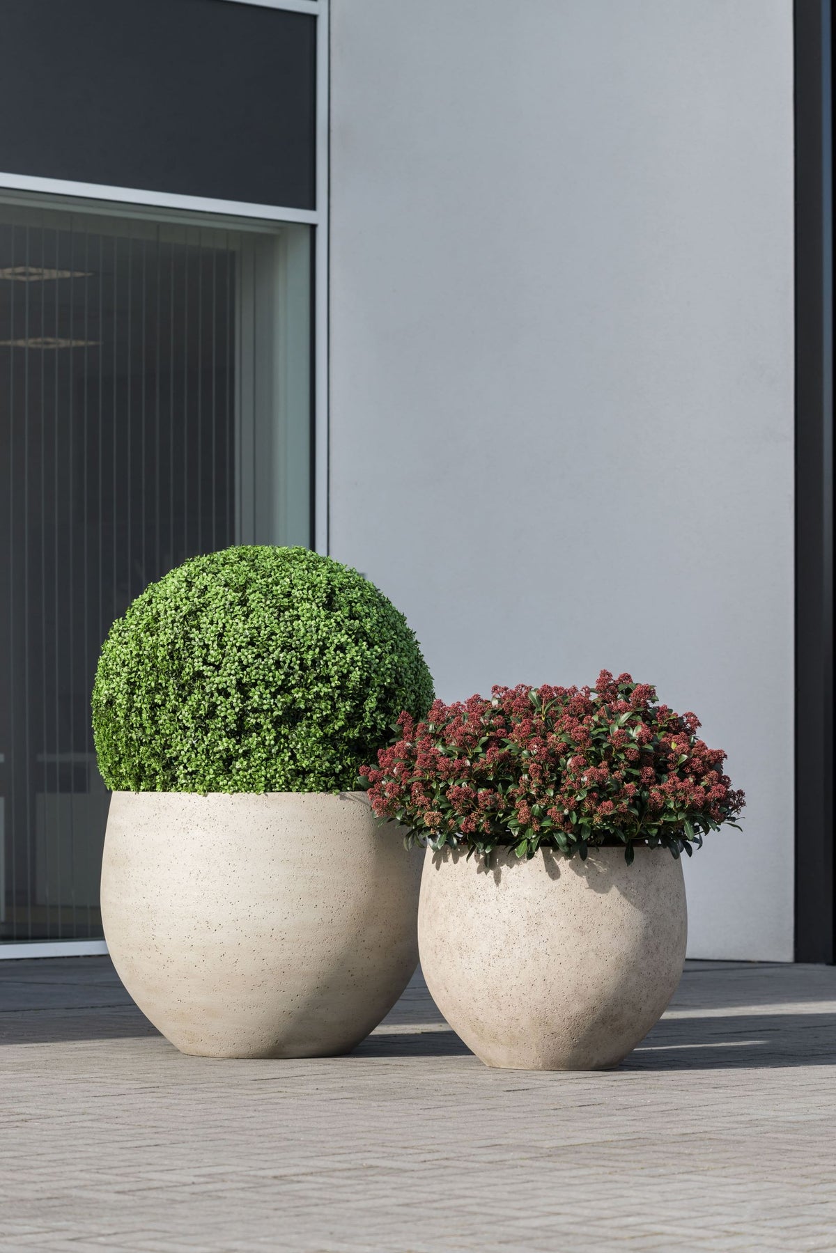 Jumbo Orb Grey Washed – XXL Pflanzkübel aus Ficonstone