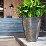 Hugo Oyster Imperial Braun