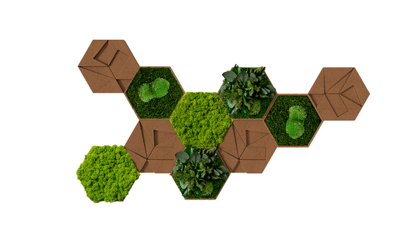 Kork-Hexagon Set, 10er Set