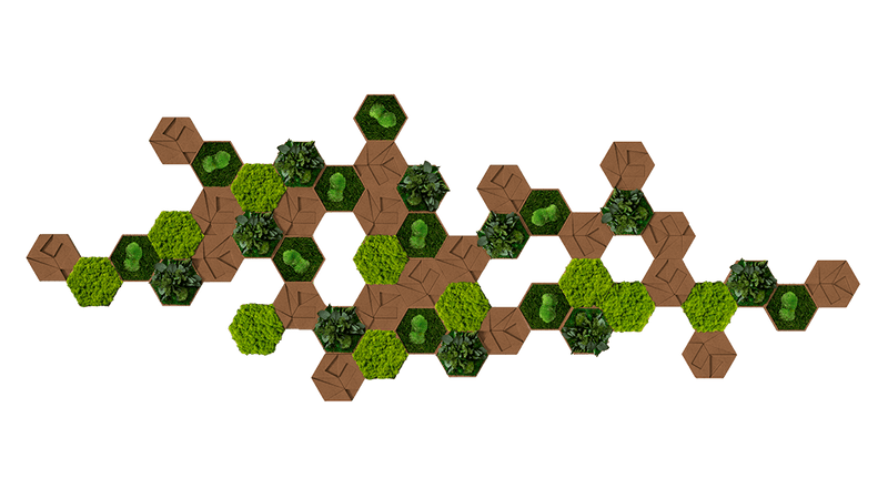 Kork-Hexagon Set, 50er Set