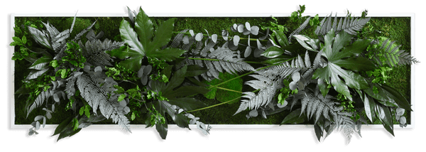 Pflanzenbild im Dschungeldesign, weißer Rahmen 40x140 cm