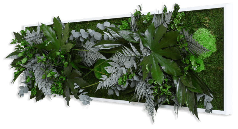 Pflanzenbild im Dschungeldesign, weißer Rahmen 40x140 cm