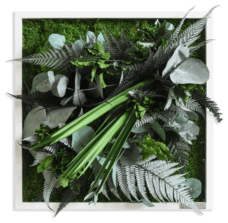 Pflanzenbild im Dschungeldesign, weißer Rahmen 35x35 cm