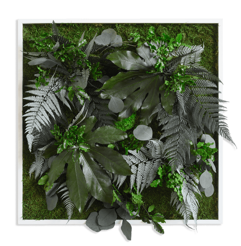 Pflanzenbild im Dschungeldesign, weißer Rahmen 55x55 cm