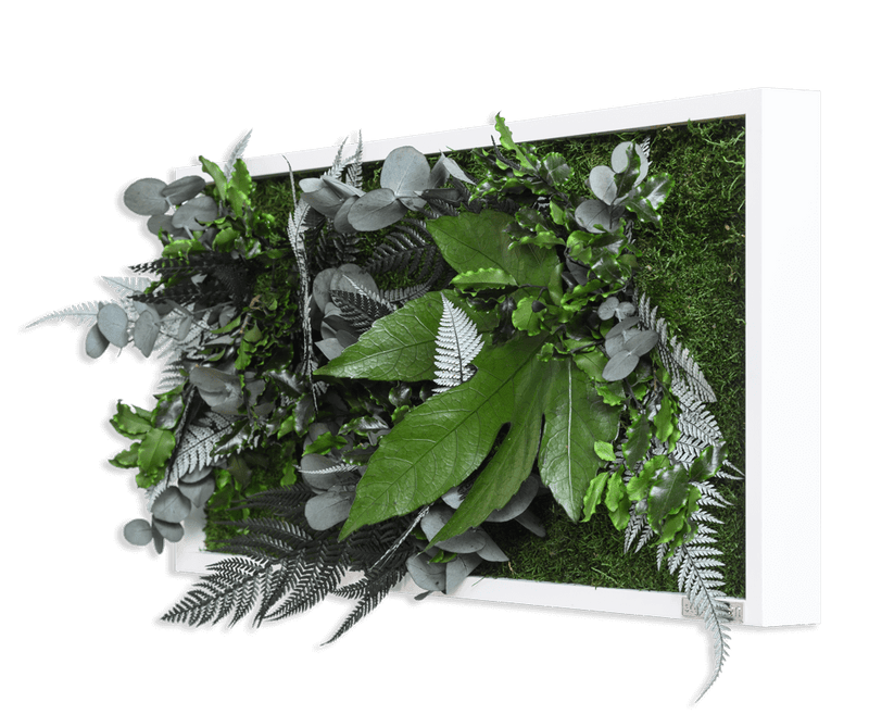 Pflanzenbild im Dschungeldesign, weißer Rahmen 27x57 cm