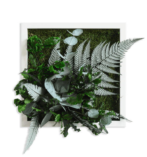 Pflanzenbild im Dschungeldesign, weißer Rahmen 22x22 cm