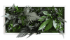 Pflanzenbild im Dschungeldesign, weißer Rahmen 27x57 cm