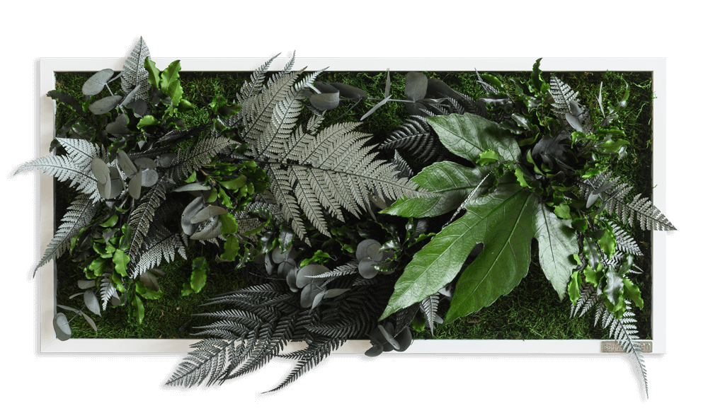 L:27 W:57 cm / Without fastening set