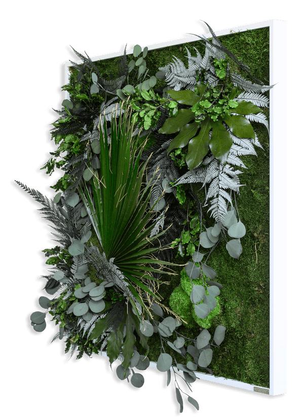 Pflanzenbild im Dschungeldesign, weißer Rahmen 80x80 cm