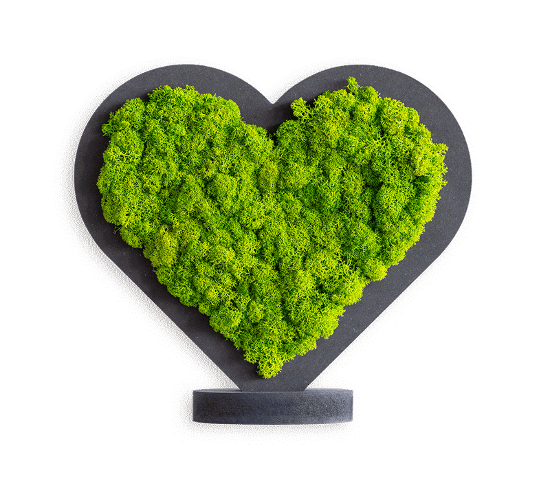 Islandmoos Piktogramm Herz Grün mit Ständer