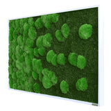 Moosbild Verlauf Wald- und Ballenmoos 100x60 cm