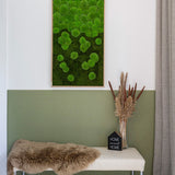 Moosbild Verlauf Wald- und Ballenmoos 100x60 cm